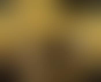 Nature morte sur fond de paysage (preview)