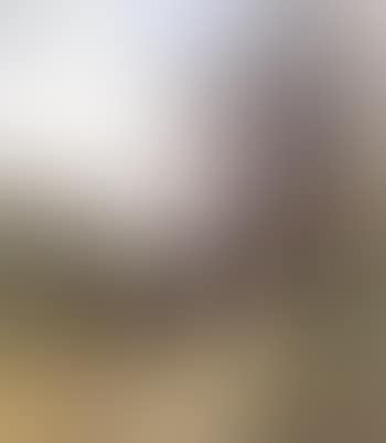 Wooded landscape with figures (preview)