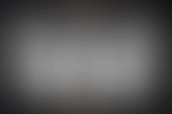 Notes for Lisson Gallery (preview)