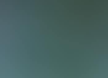 Naturale Artificiale (preview)