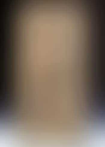 Crucifixion with Saint Gerolamo repenting (preview)