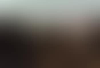 Hudson River landscape with figures (preview)
