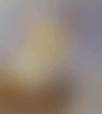 Portrait of young woman from Skagen (preview)