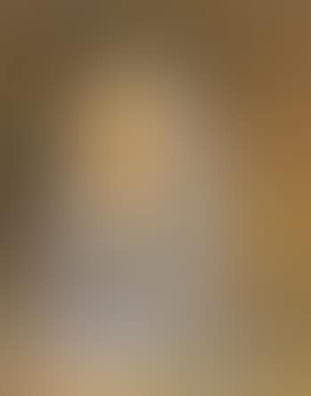 Portrait of fisherwoman (preview)