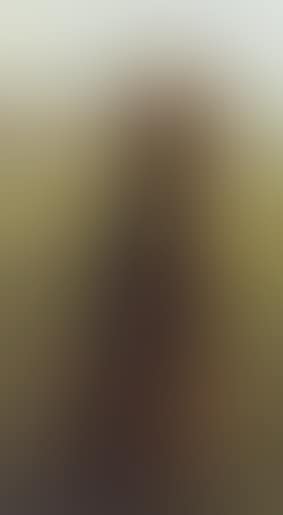 The artist's gundog (preview)