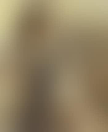 European woman wearing Oriental dress (preview)