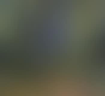 Wooded landscape (preview)