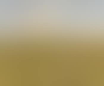Danish summer landscape (preview)