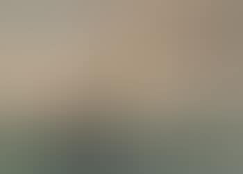 Seascape with sailing vessels (preview)
