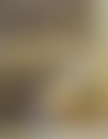 Nude woman reclining on sofa (preview)
