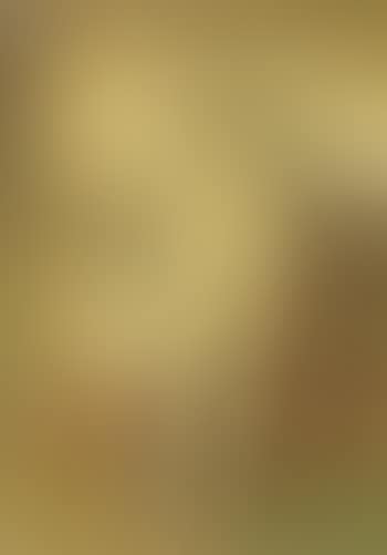 Nude woman seen from behind (preview)
