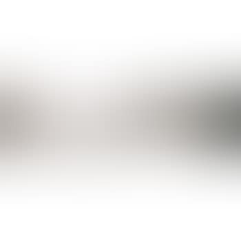 The head of the lake of Geneva from Vevay (preview)
