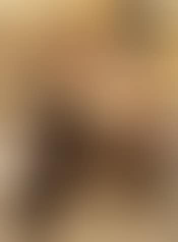 Composition (preview)