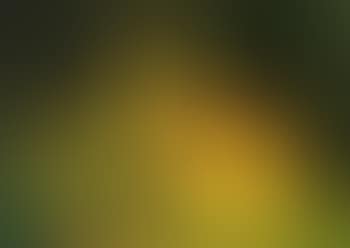 Landscape (preview)
