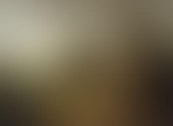 Deer resting in wooded landscapes (preview)
