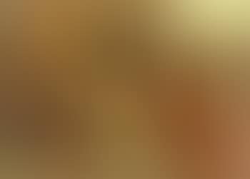 Adoration of the Magi (preview)