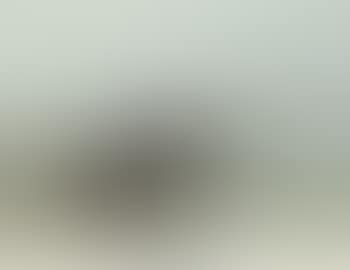 Coastal landscape with ship wreck (preview)