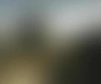 Paysage Guyere (preview)