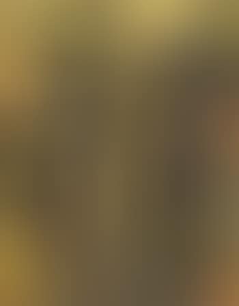 African women (preview)