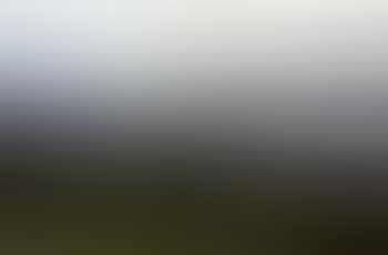 Windermere from Orrest Head (preview)