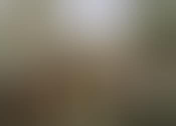 Cows in a landscape (preview)