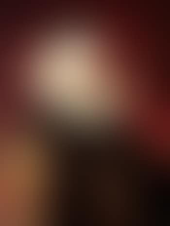 Archduke Albrecht VII of Austria, Governor of the Netherlands (preview)