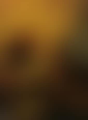 Vision of St Francis (preview)