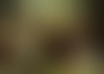 Raising of Lazarus (preview)