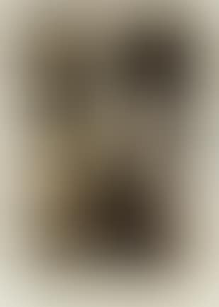 From album 13 (preview)
