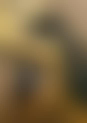 Le flessione verticale (preview)