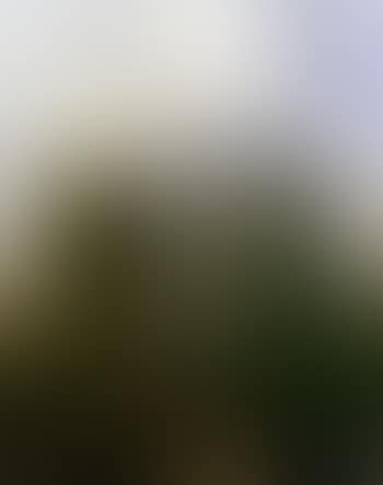 Paysage (preview)