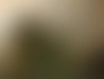 Paysage (preview)