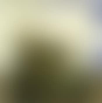 Paysage (preview)