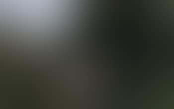 Bougival (preview)