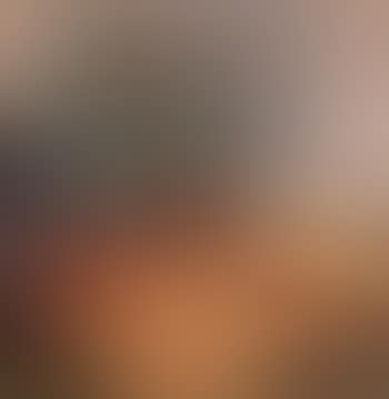 Nature morte with plant and fruit (preview)