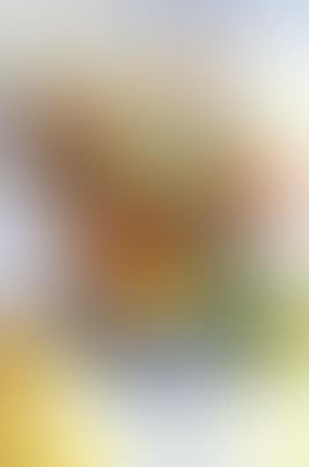 Les renocules (preview)
