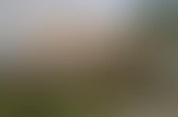 Ricefields at the foot of the volcano (preview)