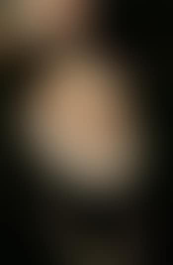 Portrait of Francois, Duc of D'Alencon (preview)