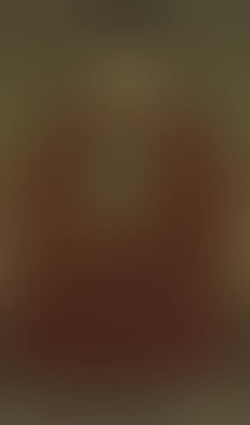 Picture of a seated ancestor (preview)