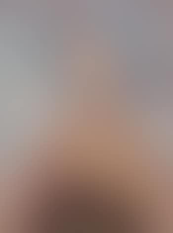 Pegase blanc (preview)