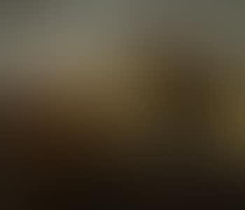 Mountain river landscape (preview)