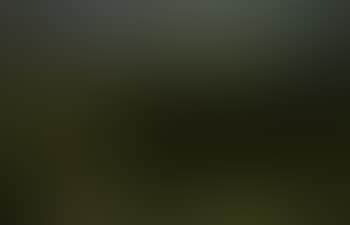 Valley of silence - Lister dunes on Sylt (preview)