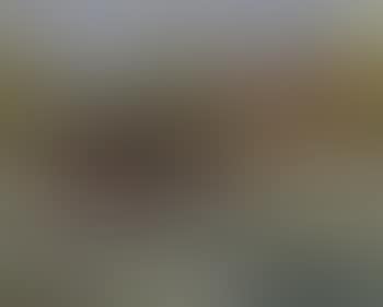 Nice, sur la Promenade des Anglais (preview)