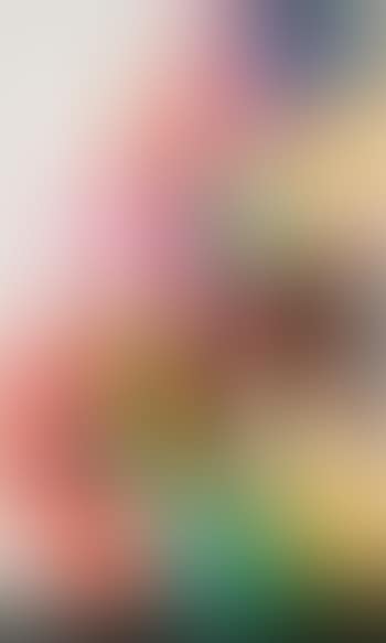 A fragment of Hon. (preview)
