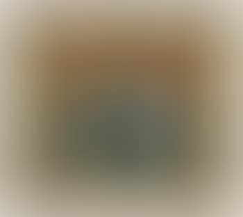 Still life (preview)