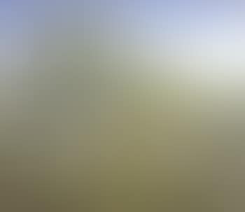 Paysage vallonne (preview)