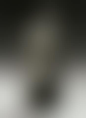Pieta (preview)