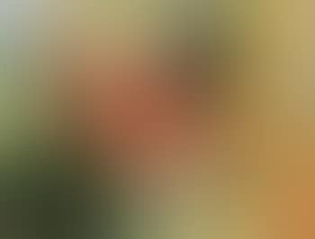 Abstract composition with fruit (preview)