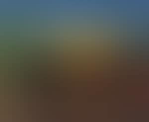 Wooded landscape (preview)