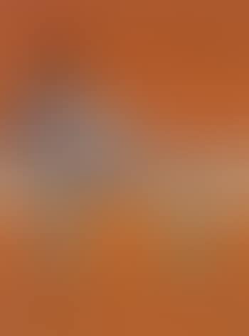 Studies of the human body (preview)